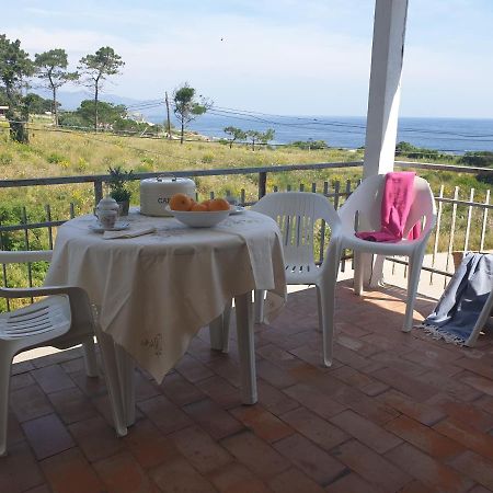 Xaloc, Apartament Amb Vistes A Mar M4 El Port De La Selva Buitenkant foto